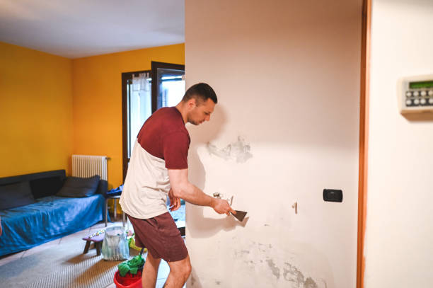 Best Fast Mold Removal  in Salineville, OH